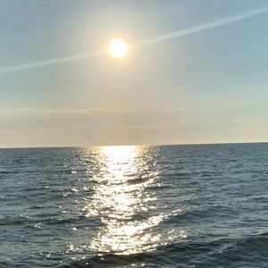 Meet your Posher, Monika